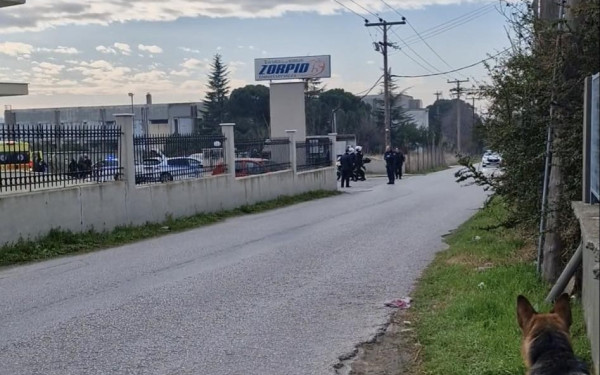 Θεσσαλονίκη: 42χρονος μαχαίρωσε στο λαιμό τη σύζυγό του με κουζινομάχαιρο (βίντεο, φωτ.)