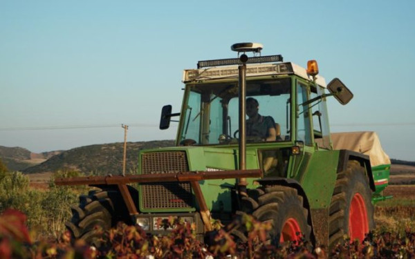 Διπλασιάζεται η επιδότηση στους νέους αγρότες