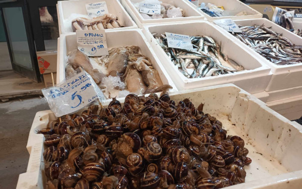 Προειδοποιήσεις του ΕΦΕΤ για τα Σαρακοστιανά: Τί να προσέξετε για την αποφυγή δυσάρεστων εκπλήξεων