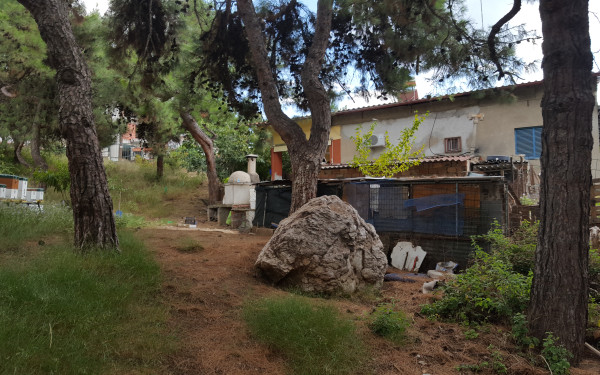 «Όργιο» αυθαιρεσίας στο δάσος των Μετεώρων - Καταπατητές έχτισαν μπάρμπεκιου, κοτέτσια και μελίσσια