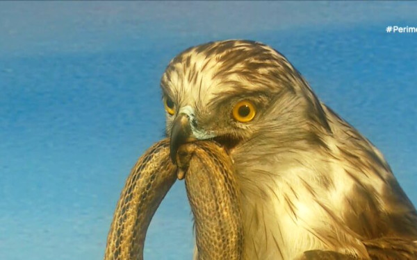 Επαναλειτουργεί το μουσείο φυσικής ιστορίας Σερρών