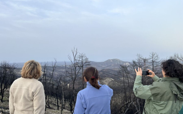 Δάσος Δαδιάς: Τα αρπακτικά φωλιάζουν ξανά στα καμένα δέντρα