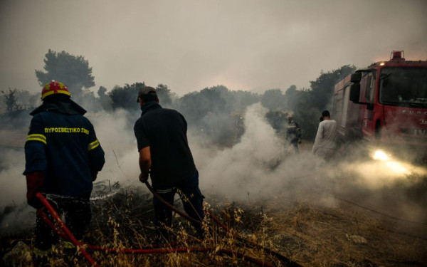 Καβάλα: Πιάνουν δουλειά την Τρίτη οι «δασοκομάντος»