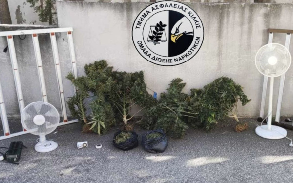 Θεσσαλονίκη: Συνελήφθη ένα άτομο για καλλιέργεια δενδρυλλίων κάνναβης (βίντεο, φωτ.)