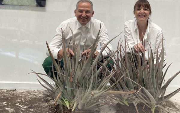 Θεσσαλονίκη: Κάκτοι και περαστικοί «συνομιλούν» στην οδό Κ. Ντηλ