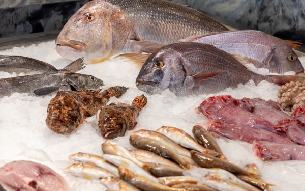 Fish Fish: Ολόφρεσκα ψάρια και θαλασσινά, νωπά ή μαγειρεμένα