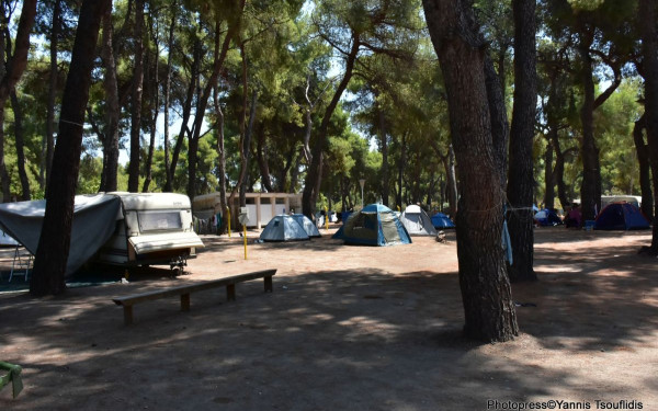 Ποσείδι Χαλκιδικής: Εκεί όπου ξεχωρίζει η κατασκήνωση του ΑΠΘ (φωτ.)