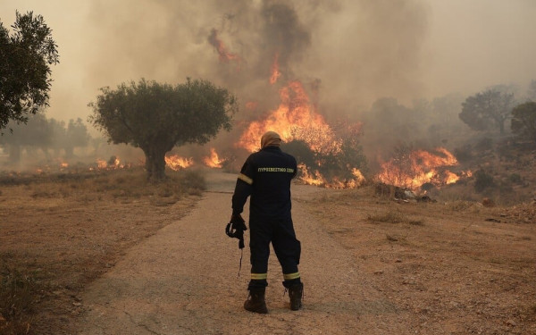 Σέρρες: Ξέσπασε φωτιά στη Νέα Τυρολόη - Καίει σε διάσπαρτα σημεία