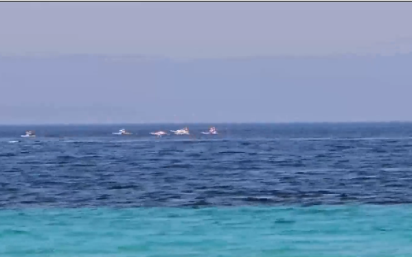 Χαλκιδική: Φλαμίνγκο έκαναν... βουτιές στην Τρανή Αμμούδα - Δείτε βίντεο