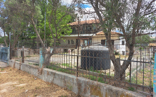 Θεσσαλονίκη: Παράνομο κυνοκομείο απειλεί το THESS INTEC
