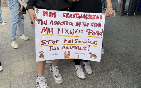 Χαλκιδική: Μαθητές και μαθήτριες ανέλαβαν δράση για τα αδέσποτα - Δείτε φωτογραφίες