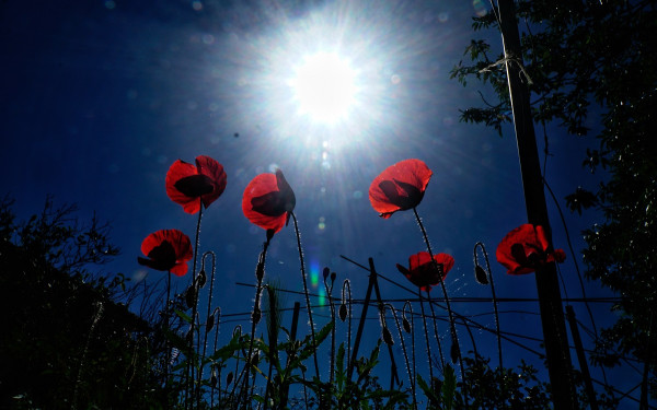 15η συνεχόμενη ημέρα πολύ υψηλών θερμοκρασιών