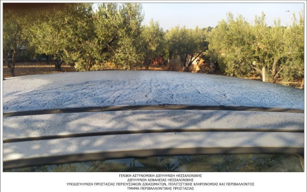 Χαλκιδική: Δικογραφία σε βάρος Πρόεδρου και CEO εταιρείας για περιβαλλοντική ρύπανση (φωτ.)