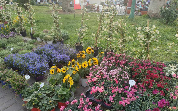 Θεσσαλονίκη: Έλληνες από το εξωτερικό με ένα «κλικ» στέλνουν λουλούδια στις μαμάδες τους