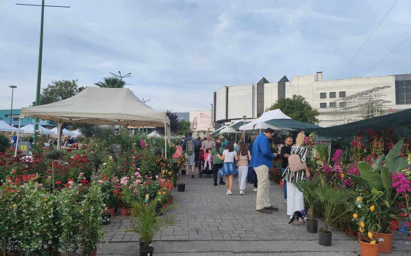 Θεσσαλονίκη: Μύρισε άνοιξη στον προαύλιο χώρο της ΔΕΘ - Ξεκίνησε η καθιερωμένη Ανθοέκθεση