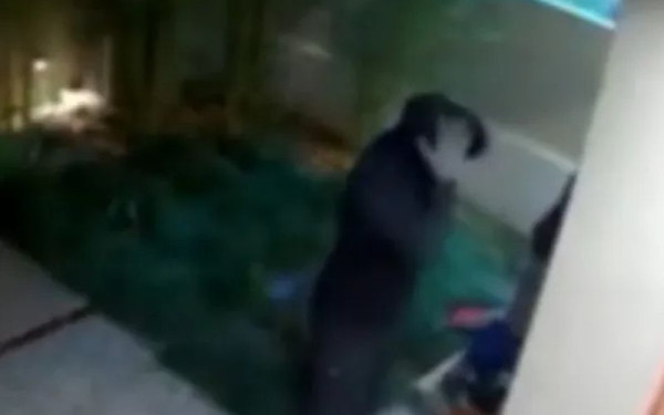 Θεσσαλονίκη: Καρέ-καρέ η διάρρηξη σπιτιού στη Θέρμη - Τους φώναξαν ότι κάλεσαν το 100 και απάντησαν «το ξέρουμε» (βίντεο)