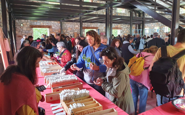 Δράμα: Χιλιάδες επισκέπτες στην 24η Γιορτή Σπόρων που διοργάνωσε το Πελίτι