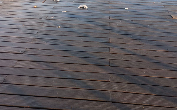 Θεσσαλονίκη: Οι «θησαυροί» τού Θερμαϊκού βγαίνουν μετά τις βροχές - Δεκάδες νεκρά ποντίκια στην παραλία (βίντεο)