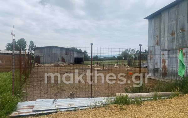 Φονικό στο Κιλκίς: Κτηνοτρόφος σκότωσε με καραμπίνα επίδοξο διαρρήκτη - Δείτε φωτογραφίες