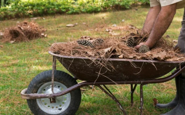 Ακαθάριστα οικόπεδα: Χάος με τις καταγγελίες στους δήμους - Πρόστιμα από 1.000 ευρώ στους… απείθαρχους ιδιοκτήτες