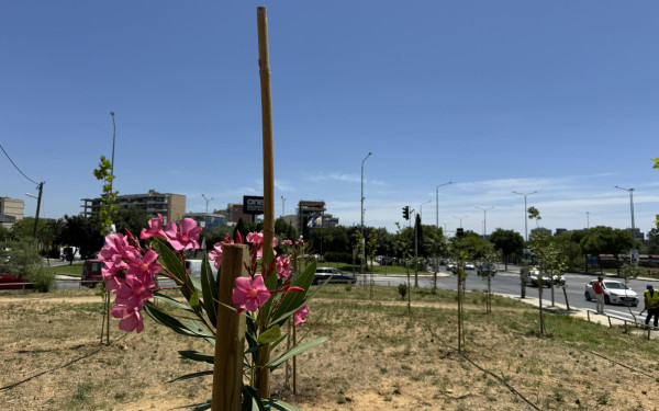Θεσσαλονίκη: Αλλάζει όψη η δυτική είσοδος της πόλης- Σκουπιδότοπος μεταμορφώθηκε σε άλσος με 100 δέντρα (βίντεο, φωτ.)