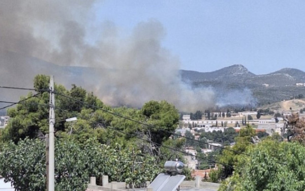 Οριοθετημένη και χωρίς ενεργό μέτωπο η πυρκαγιά σε δασική έκταση στον Ωρωπό (βίντεο)