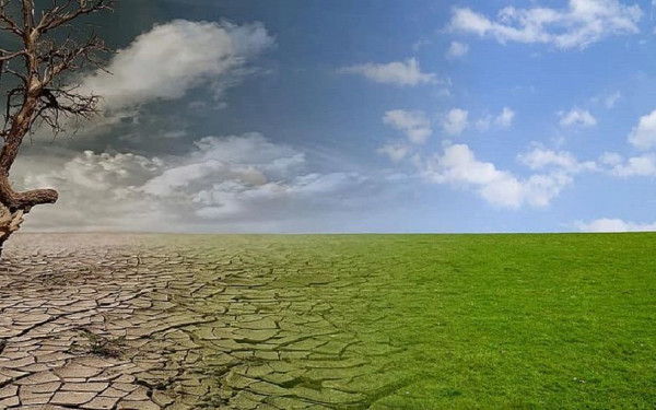 Παγκόσμια Ημέρα Περιβάλλοντος: Η γη μας, το μέλλον μας εκπέμπουν «SOS» - «Να γίνουμε η γενιά της αποκατάστασης» (βίντεο)