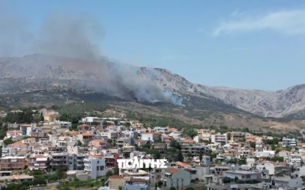 Χίος: Μεγάλη πυρκαγιά σε δασική έκταση σε εξέλιξη - Μήνυμα 112 στους κατοίκους (βίντεο, φωτ.)