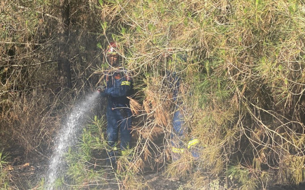 Πυροσβεστική: 39 αγροτοδασικές πυρκαγιές το τελευταίο 24ωρο