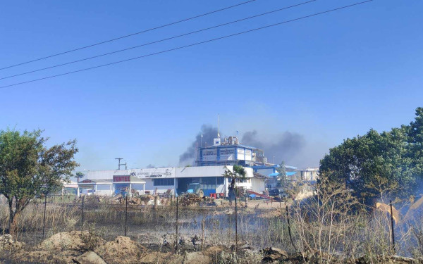 Θεσσαλονίκη: Υπό μερικό έλεγχο η φωτιά στη Νέα Απολλωνία (φωτ)