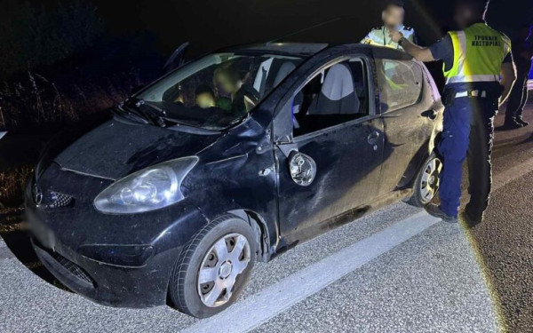 Καστοριά: ΙΧ έπεσε πάνω σε αρκούδα στην αερογέφυρα του Άργους Ορεστικού