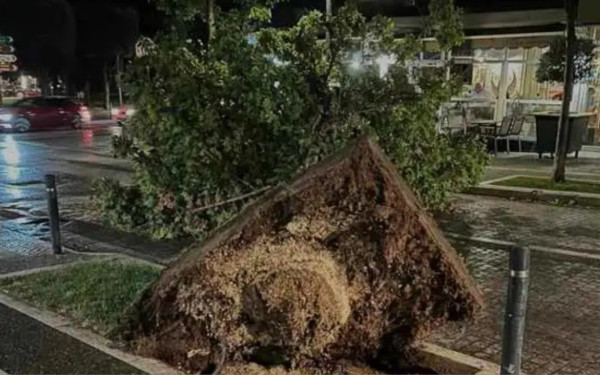 Βέροια: Αποκαθίστανται οι ζημιές από το δυνατό μπουρίνι - Πεσμένα δέντρα, καταστροφές σε οχήματα και καλλιέργειες