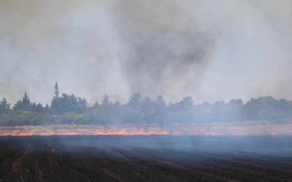 Λάρισα: Μεγάλη κινητοποίηση της Πυροσβεστικής για φωτιά στην Αγιά