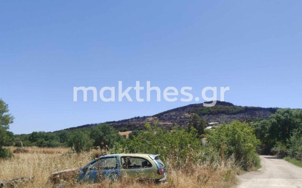 Ροδόπη: Μάχη με διάσπαρτες εστίες φωτιάς δίνουν οι πυροσβέστες