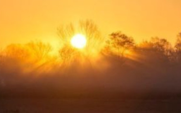 Περιβάλλον: Η αύξηση των καυσώνων συνδέεται με την παραγωγή ορυκτών καυσίμων και τσιμέντου