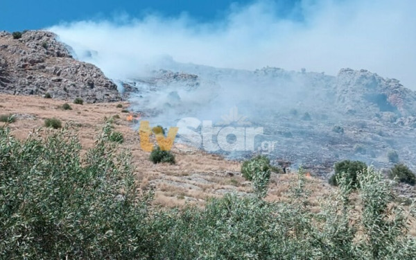 Σε εξέλιξη φωτιά στην Λιβαδειά