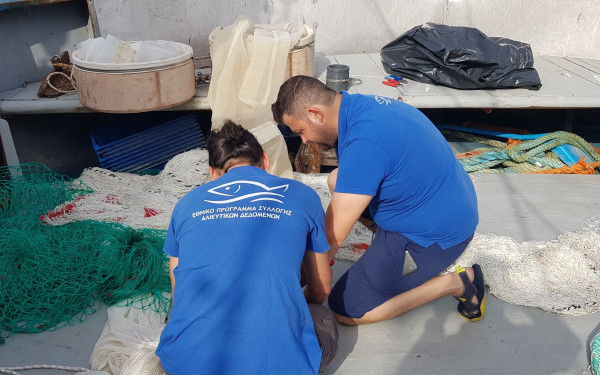 Καβάλα: Καταγραφή της αφθονίας των θαλάσσιων αλιευμάτων στην Ελλάδα και την ΕΕ από τη δράση MEDITS