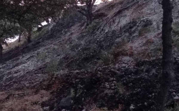 Νίσυρος: Υπό μερικό έλεγχο η πυρκαγιά στην περιοχή Πάλλοι