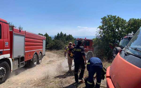 Θεσσαλονίκη: Φωτιά στον Σοχό