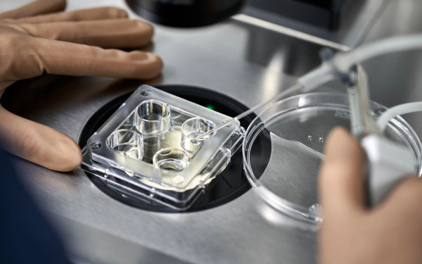 Στην Ελλάδα μόλις το 9,81% των επιχειρήσεων χρησιμοποιεί εργαλεία τεχνητής νοημοσυνης