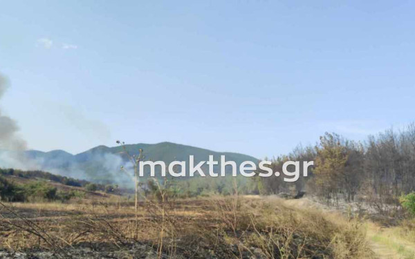 Θεσσαλονίκη: Καλύτερη η εικόνα στο μέτωπο φωτιάς της Βόλβης (βίντεο & φωτ.)