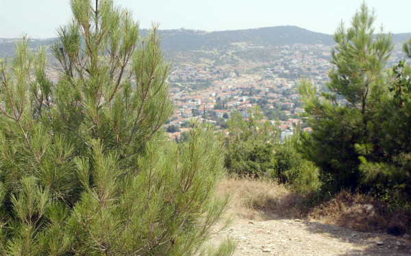 Πυροπροστασία: Εθελοντές στην προστασία του περιαστικού δάσους Σέιχ Σου