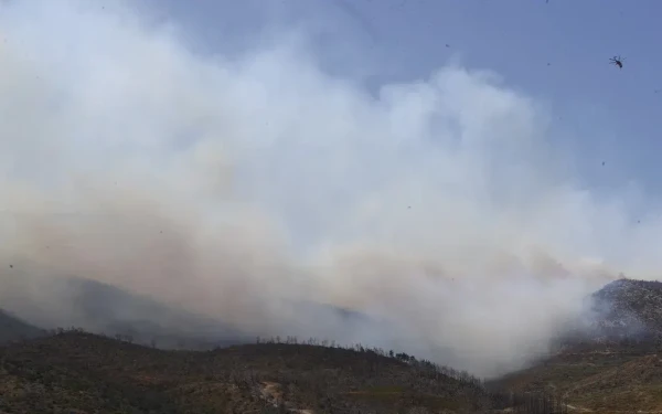 Κολυδάς για τη φωτιά στην Πάρνηθα: 7 με 8 μποφόρ oι ριπές του ανέμου