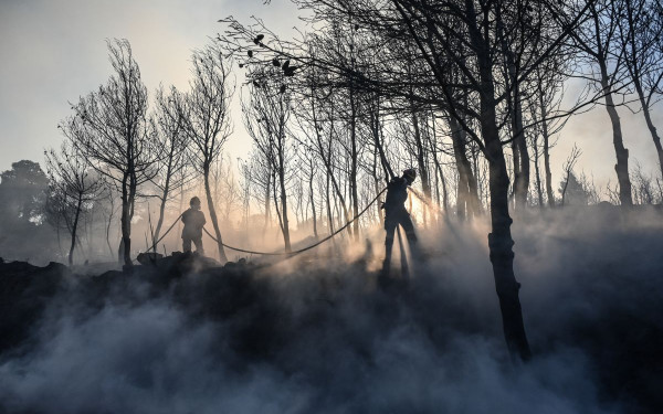 Χωρίς ενεργά μέτωπα οι φωτιές σε Σταμάτα και Κερατέα: Διάσπαρτες μικροεστίες - Σε εξέλιξη οι φωτιές σε Ζάκυνθο και Δίστομο
