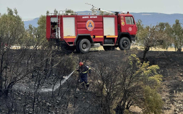 Πυρκαγιά σε χαμηλή βλάστηση στη Μαγούλα Αττικής
