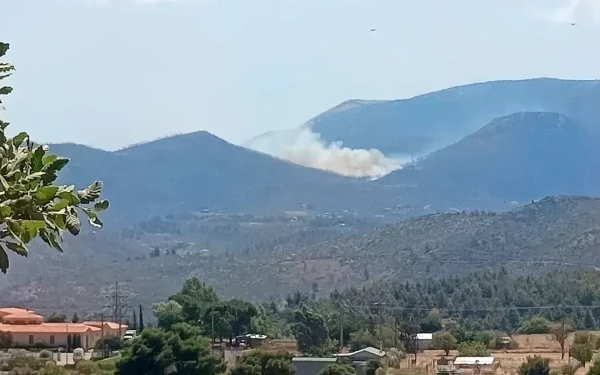 Αττική: Χωρίς ενεργό μέτωπο η φωτιά στην Πάρνηθα