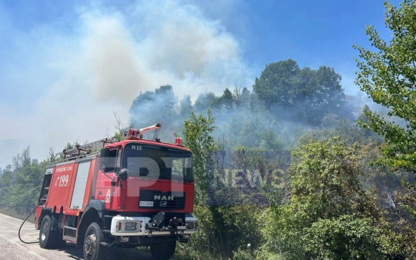 Καστοριά: Πυρκαγιά σε δασική έκταση μεταξύ των χωριών Μελάνθιο και Νεστόριο - Αναζητείται λευκό βανάκι (φωτ.)