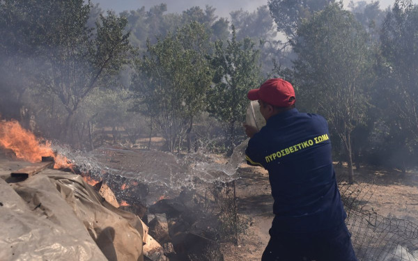 Φωτιά στη Σταμάτα Αττικής: Μηνύματα από το 112 για απομάκρυνση από Αμυγδαλέζα, Ροδόπολη και Γαλήνη