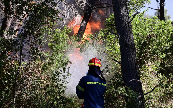 Φωτιές: Έκτακτη ενημέρωση της Πυροσβεστικής - «Η δυσκολότερη μέρα τη φετινή αντιπυρική περίοδο» (βίντεο)