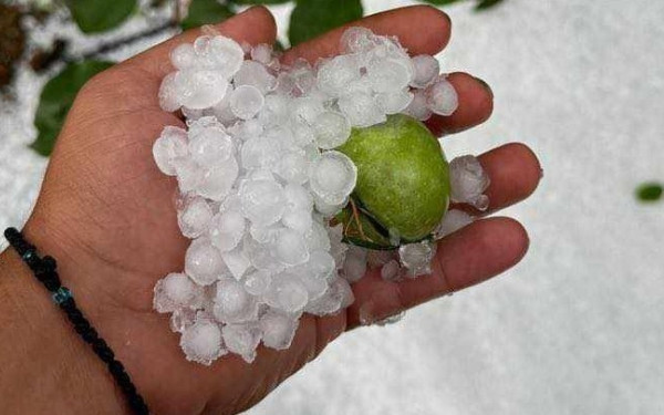 Χαλκιδική: Χαλάζι «σάρωσε» το Παλαιοχώρι και τη Μεγάλη Παναγιά (βίντεο)